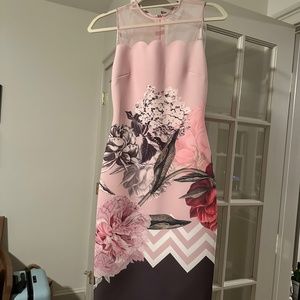 Ted Baker Pink Floral Dress NWT